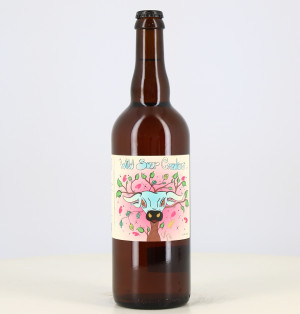 Blondes Bier Wild Sour Creature Gose Beeren pink 5% Two Dudes 75cl